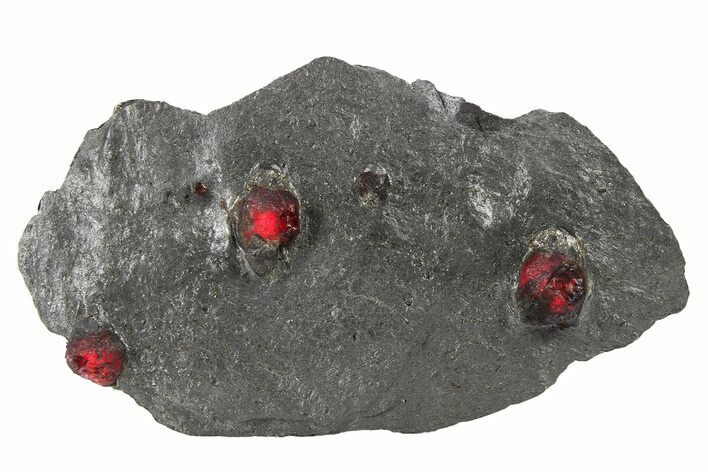 Plate of Three Red Embers Garnets in Graphite - Massachusetts #272740